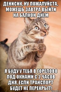 денисик, ну пожалуйста, можешь завтра выйти на балкон днем я буду у тебя в горелово под окнами с 2 часов дня, если транспорт будет не перекрыт!