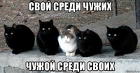 свой среди чужих чужой среди своих