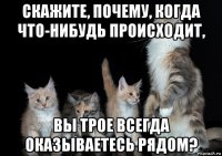 скажите, почему, когда что-нибудь происходит, вы трое всегда оказываетесь рядом?