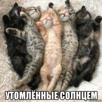  утомлённые солнцем