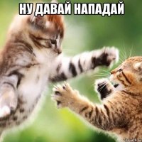 ну давай нападай 
