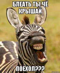 блеать ты чё крышай поехол???