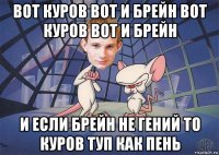 вот куров вот и брейн вот куров вот и брейн и если брейн не гений то куров туп как пень