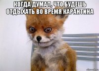 когда думал, что будешь отдыхать во время карантина 