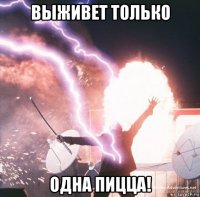 выживет только одна пицца!
