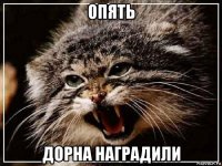опять дорна наградили