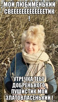 мой любименький свееееееееееееетик ! утречка тебе добренького, пушистик мой златовласенький !