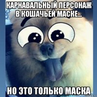 карнавальный персонаж в кошачьей маске... но это только маска