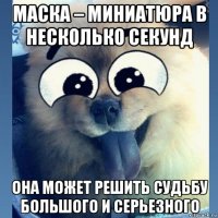 маска – миниатюра в несколько секунд она может решить судьбу большого и серьезного