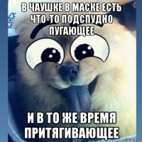 в чаушке в маске есть что-то подспудно пугающее и в то же время притягивающее