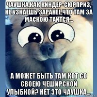 чаушка,как киндер-сюрприз, не узнаешь заранее,что там за маскою таится... а может быть там кот со своею чеширской улыбкой? нет это чаушка...
