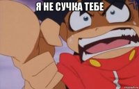 я не сучка тебе 