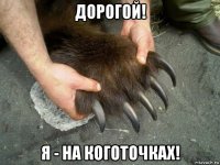 дорогой! я - на коготочках!