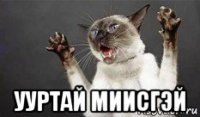  ууртай миисгэй