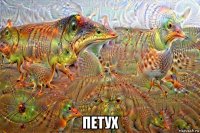  петух