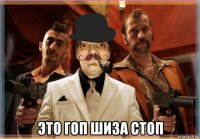  это гоп шиза стоп