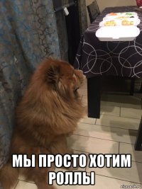  мы просто хотим роллы
