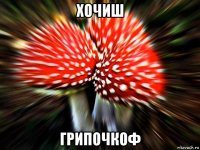 хочиш грипочкоф