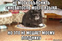 не могу объяснить синеватость моего языка но это не мешает моему полднику