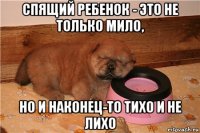 спящий ребенок - это не только мило, но и наконец-то тихо и не лихо