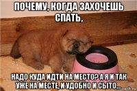 почему, когда захочешь спать, надо куда идти на место? а я и так уже на месте, и удобно и сыто...