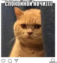 спокойной ночи)))) 