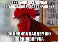 внимание. всемирная организация здравоохранения объявила пандемию коронавируса