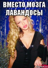 вместо мозга лавандосы 