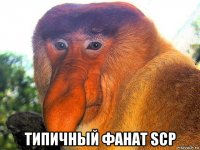  типичный фанат scp