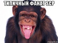 типичный фанат scp 