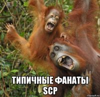  типичные фанаты scp