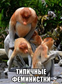  типичные феминистки
