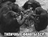  типичные фанаты scp