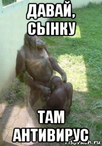 давай, сынку там антивирус