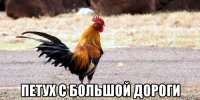  петух с большой дороги