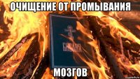 очищение от промывания мозгов