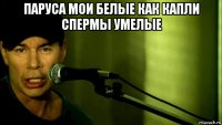 паруса мои белые как капли спермы умелые 