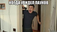 когда увидел пауков 