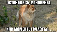 остановись, мгновенье или моменты счастья...