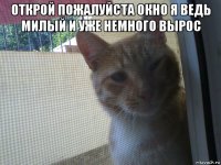 открой пожалуйста окно я ведь милый и уже немного вырос 