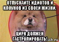 отпускайте идиотов и клоунов из своей жизни. цирк должен гастролировать!