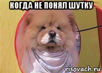 когда не понял шутку 