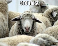 это так? 