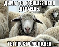 дима, ты хорошее дело делаешь, ты просто молодец