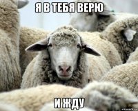 я в тебя верю и жду