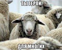 ты герой для многих
