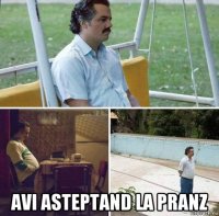 avi asteptand la pranz