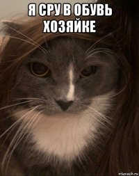 я сру в обувь хозяйке 