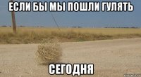 если бы мы пошли гулять сегодня
