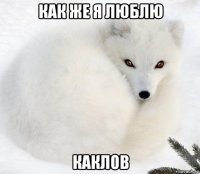 как же я люблю каклов